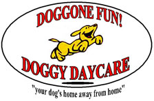 Doggone Fun Doggy Daycare Center
