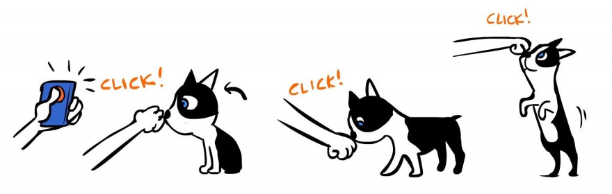 Clicker Training For Dogs