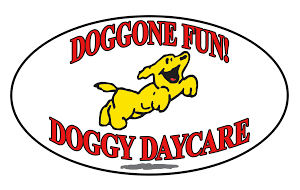 Doggone Fun! Doggy Day Care Center in Tualatin, OR